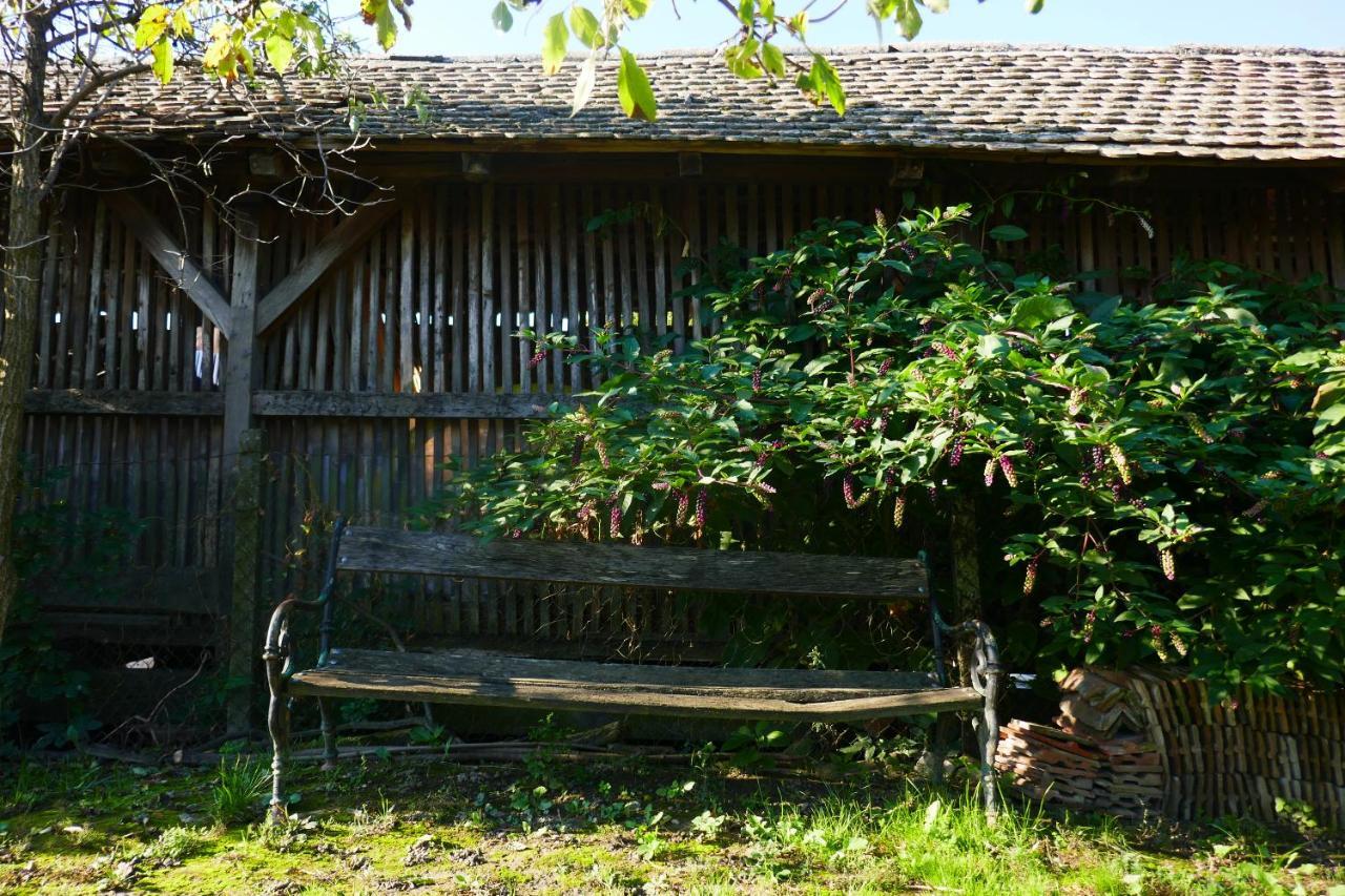Апартаменты House Of Lovra Knezevi Vinogradi Экстерьер фото